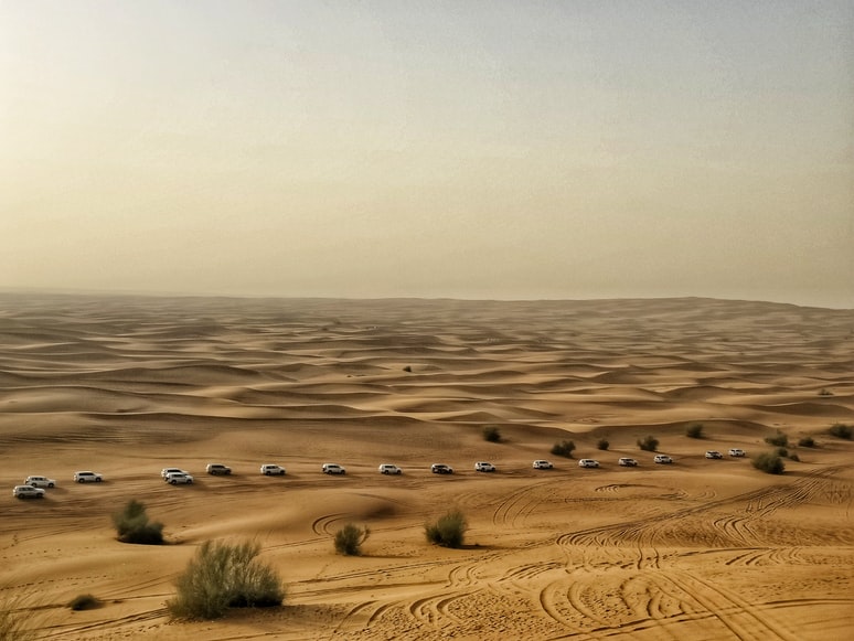 many cars on the desert