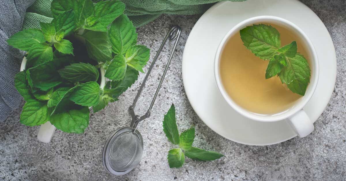 What are the advantages of mint tea for your well-being?