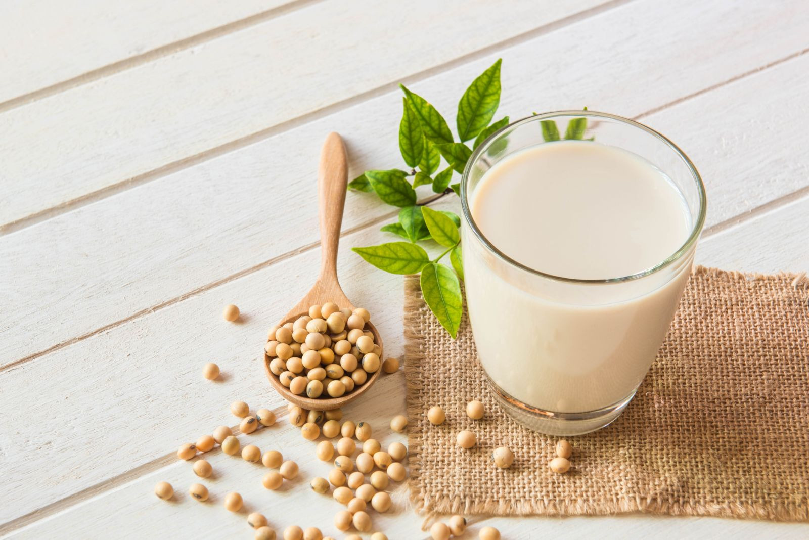 What Is the Impact of Soy in Your Diet on Cholesterol? Soy and soy-containing ingredients like tofu have gained popularity through the years for decreasing LDL cholesterol. Chief among those is the "terrible" form of cholesterol called low-density lipoprotein (LDL). This is the kind that reasons fatty deposits on the partitions of arteries, called plaque, main to atherosclerosis ("hardening of the arteries") and coronary artery disorder (CAD). Based on evidence that soy can reduce those dangers, the Food and Drug Administration (FDA) announced in 1999 that the coronary heart fitness benefits of soy will be promoted on product labels. That choice is now being questioned. This article takes a more in-depth observe the current debate, what the body of studies says, and what amount of soy can be doubtlessly useful if you have high LDL cholesterol. What Is Soy? Foods containing soy are derived from the soybean plant (Glycine max). Soy is a great supply of plant-based protein as well as calcium, fiber, potassium, magnesium, copper, manganese, and polyunsaturated fats like omega-3 fatty acids. Besides bringing protein into your eating regimen, soy also incorporates estrogen-like compounds referred to as isoflavones that have several health advantages. Among them, isoflavones have been touted by using a few for or her LDL cholesterol-reducing consequences (in particular seen in animal studies). Soy products, which include tofu, soy drinks, soybean burgers, and soy nuts, already have an established reputation for being a nutritious part of a balanced weight loss program, especially seeing that they provide a healthy alternative to animal protein. Can Soy Lower Cholesterol? Scientists have diagnosed one essential component in soybeans that appears to have the capacity to lessen cholesterol: soy protein. Even so, there stays debate as to how extensive the reduction is and whether it's far enough to justify the claim that soy is a heart-healthful food. Early Research A review of studies posted in Circulation in 2006 evaluated the effect of soybeans on levels of cholesterol-based totally on statistics from 22 human trials. What the researchers discovered became that soy protein, regardless of all the different components of soy, reduced LDL stages by using around 3%. Even so, the discount became taken into consideration low. Moreover, soy protein appears to have little to no effect on both "right" high-density lipoprotein (HDL) or "awful" triglycerides. The investigators also checked out the cholesterol-decreasing results of soy isoflavones and couldn't locate any evidence that they helped in any manner. Due to the inconsistency of outcomes from human trials, the FDA announced in 2017 that it changed to reassessing its 1999 decision to allow producers to make coronary heart fitness claims approximately soy. A decision has yet to be announced Fildena 150mg or Vidalista 60. Reevaluation of Studies Subsequent research posted in the Journal of the American Heart Association in 2019 contested the FDA's selection to oppose its stance on soy. The researcher from the University of Toronto's Department of Nutritional Science argued that the LDL reduction prompted with the aid of soy, whilst low, remained consistent over many years and nicely in the threshold mounted via the FDA. The FDA's choice to review its 1999 ruling changed primarily based on conflicting proof from 46 randomized controlled studies. The researchers in Toronto took it upon themselves to re-examine those research and observed that, after 14 years, the reduction in LDL amongst have a look at individuals remained properly inside the goals set by the FDA. The FDA's 1999 ruling changed based totally on proof that soy protein ought to lower LDL by using 4.2 and 6.7 milligrams in step with deciliter (mg/dL) of blood. According to the Univerity of Toronto researchers, the average LDL discount within 14 years because of the FDA ruling becomes 6.3 mg/dL. The researchers further argued that reversing the 1999 ruling could unfairly goal soy when different foods with similarly modest cholesterol‐decreasing results (which include oats, psyllium, barley, and nuts) are allowed to be touted as "coronary heart-wholesome. Can Herbs and Supplements Lower Cholesterol? At present, there may be no exchange within the FDA's suggestions concerning the inclusion of soy in a coronary heart-healthful diet. According to the FDA, everyday consumption of 25 grams (g) or greater of soy protein is related to a discounted risk of atherosclerosis and CAD. Some studies have counseled that 50 g or greater consistent with the day is needed to acquire a useful effect. Even so, it's miles critical not to overstate the benefits of soy in lowering your hazard of atherosclerosis or CAD. Generally speaking, the hazard of CAD increases when your LDL stages are 160 mg/dL or higher. While a reduction of 6.3 mg/dL is not insignificant, it's miles never a brief restoration if you have high cholesterol. Rather, soy needs to be taken into consideration as part of a holistic approach to lowering your LDL cholesterol level, which ought to additionally contain ordinary workout, weight loss if essential, and a low-fat food plan with minimal saturated fats. Summary Although the FDA allowed producers of sure soy products to make heart fitness claims back in 1999, the evidence assisting their LDL cholesterol-reducing effects remains shaky. Because of this, the FDA has considered whether or not to oppose its ruling. Proponents argue that, whilst the discount of "awful" LDL cholesterol is simple, the effect appears to be durable and does no longer lessen soy's advantage in a coronary heart-healthy diet. The debate maintains Fildena. Despite the small decreases in cholesterol levels, soy remains a super alternative to animal fats which are acknowledged to elevate blood levels of cholesterol. In addition, soy merchandise are excessive in fiber and low in saturated fats, both of that are critical to a coronary heart-wholesome food plan.